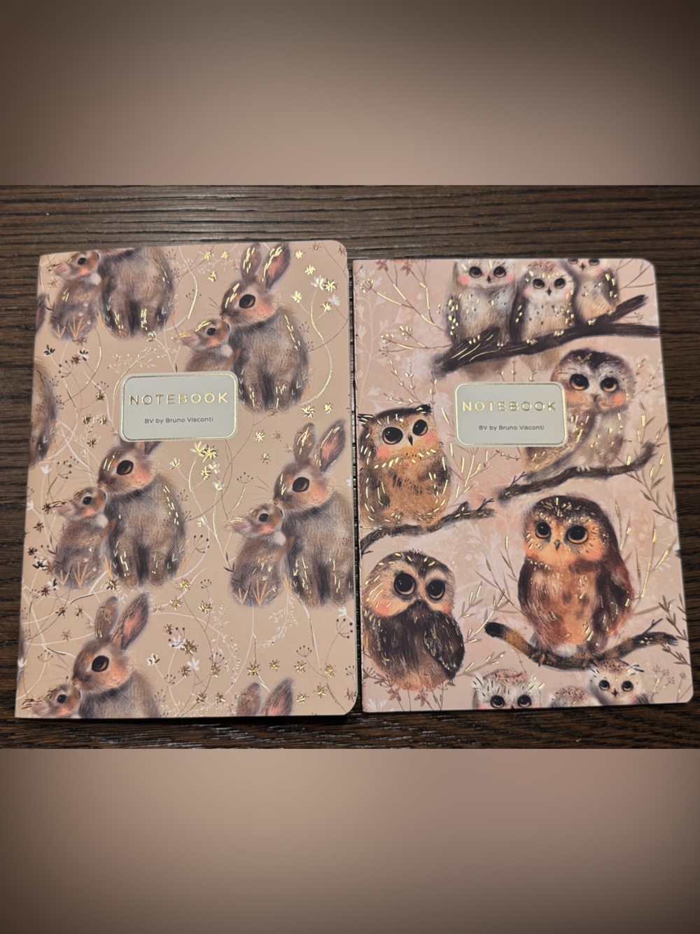 2 Pack Gorgeous Soft Touch Journals - BV by Bruno Visconti - Amazing Unique Gift